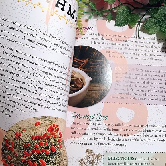 Books - Picture 4 of 8